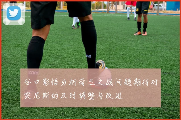 谷口彰悟分析荷兰之战问题期待对突尼斯的及时调整与改进